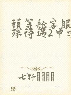 头等舱客服的特殊待遇2中字封面