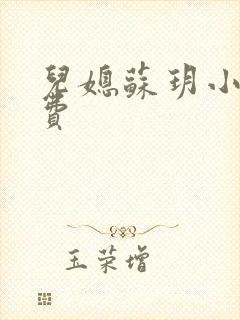 儿媳苏玥小说免费