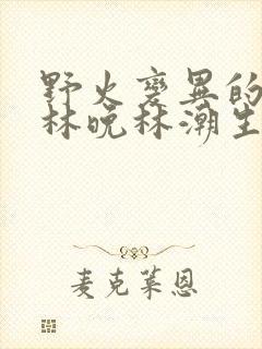 野火变异的父爱林晚林潮生