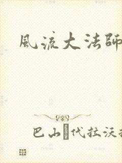 风流大法师封面
