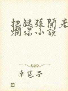 把腿张开老子臊烂你小说