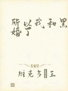 所以我和黑粉结婚了封面