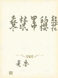 森林里的熊先生冬眠中樱花动漫封面