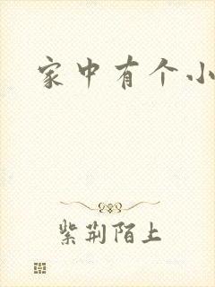 家中有个小姨子封面