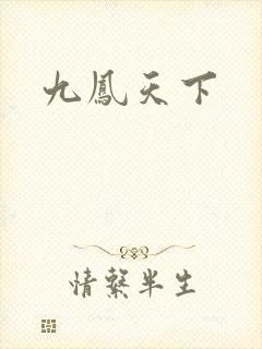 九凤天下封面