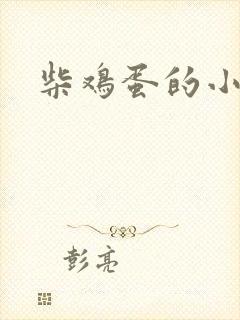 柴鸡蛋的小说