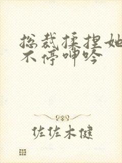 总裁揉捏她两乳不停呻吟封面