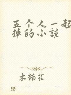 五个人一起会坏掉的小说