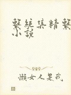 系统集精系统 小说封面