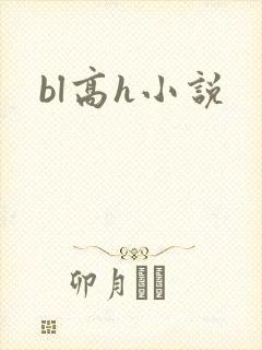 bl高h小说封面