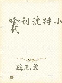 哈利波特小说下载封面