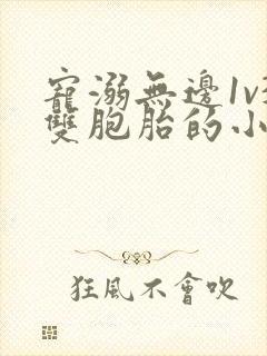 宠溺无边1v3双胞胎的小说