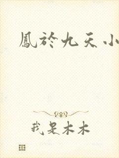凤于九天小说