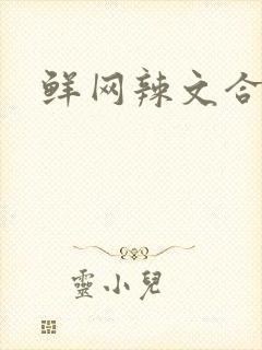 鲜网辣文合集