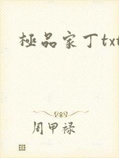 极品家丁txt