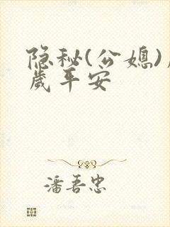 隐秘(公媳)岁岁平安封面