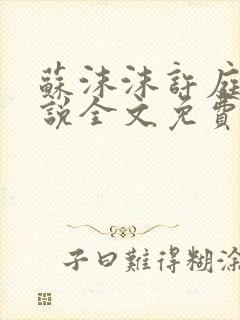 苏沫沫许庭川小说全文免费阅读