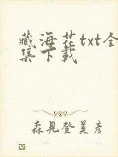 藏海花txt全集下载