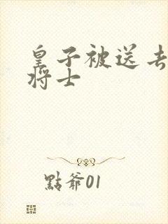 皇子被送去犒劳将士