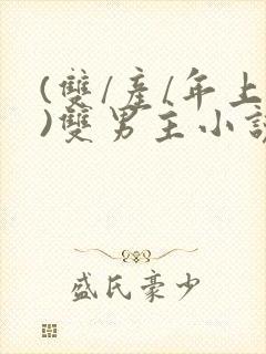 (双/产/年上)双男主小说