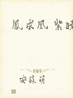 凤求凰 紫晓封面