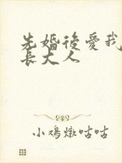 先婚后爱我的市长大人