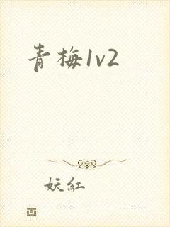 青梅1v2