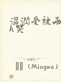 温润受被两个攻h哭封面