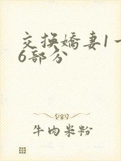 交换娇妻1一36部分