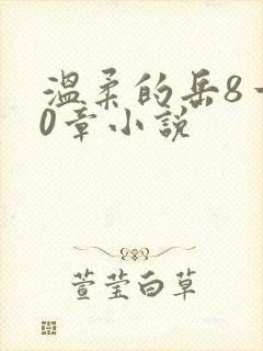 温柔的岳8一20章小说封面