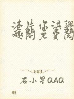 港片你洪兴仔笔趣阁免费阅读全文