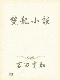双龙小说封面