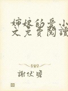 婶娘的爱小说全文免费阅读