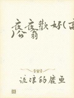 夜夜欢好(高h)公翁封面