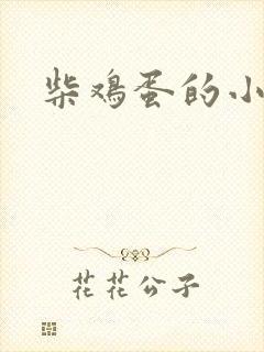 柴鸡蛋的小说