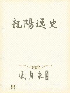 龙阳逸史