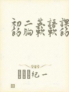 初二英语课代表的胸软软的