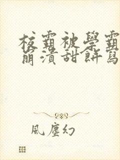 校霸被学霸玩到崩溃甜饼写手封面