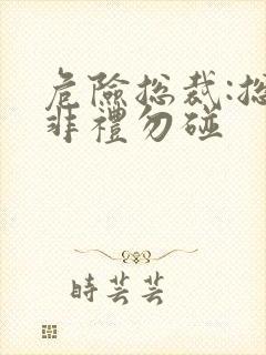 危险总裁:总裁非礼勿碰