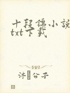 十段锦小说全本txt下载封面