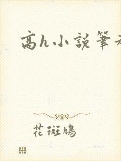 高h小说笔趣阁封面