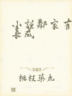 小说邻家有女初长成