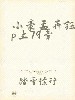 小豪孟卉钰慧三p上79章