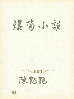 爆菊小说封面