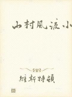 山村风流小说封面