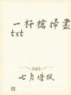 一杆枪扫尽全家txt封面