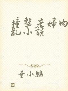 撞击老妇肉体之乱小说