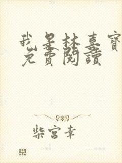 我是林喜宝小说免费阅读封面