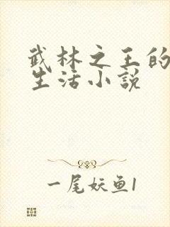 武林之王的退隐生活小说