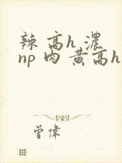 辣 高h 浓 np 肉 黄高h
